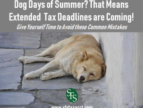 Dog Days of Summer, That Means Extended Tax Deadlines are Coming, Give Yourself Time to Avoid These Common Mistakes, SFS Tax and Accounting Services, tired dog, hot dog, brick paved streets